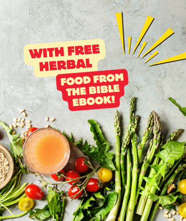 Begin again this time.. with me - Jesus by Atira Gram eBook with free Herbal food from the Bible eBook